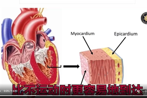 mRNA疫苗30天内就能造成心肌炎造成死亡!