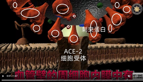 mRNA疫苗30天内就能造成心肌炎造成死亡!