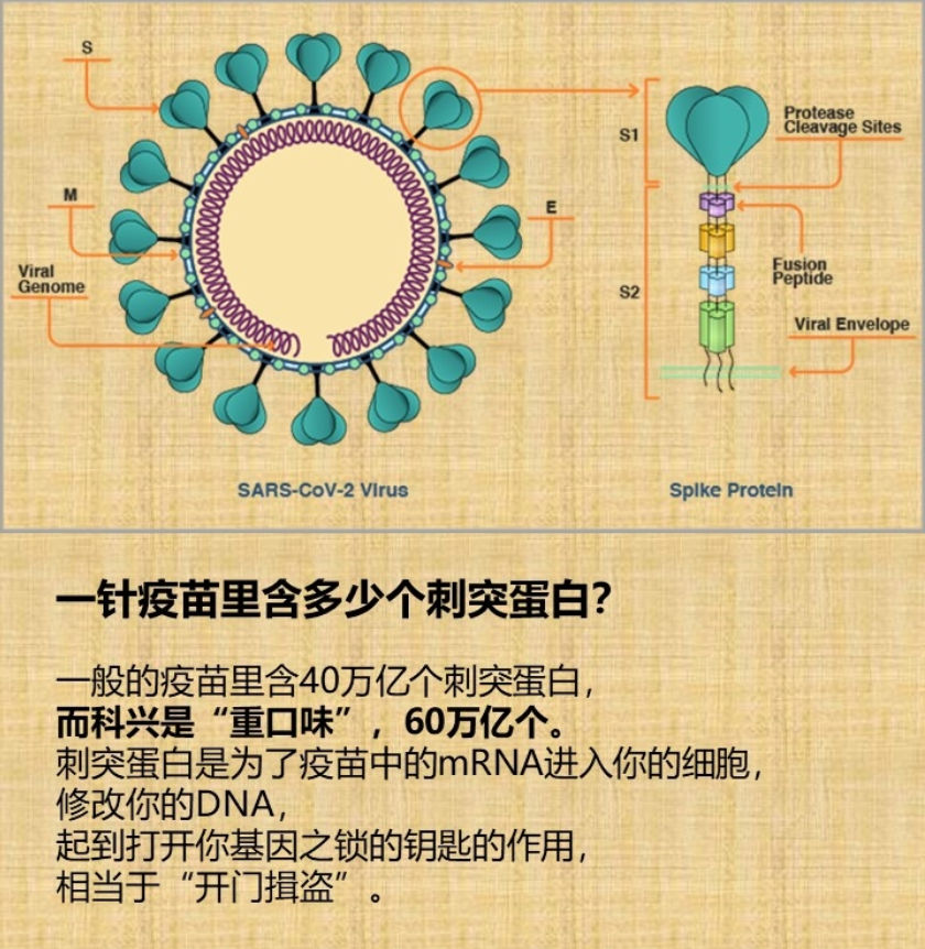 第二波大流行进行中 Epidemic2.0